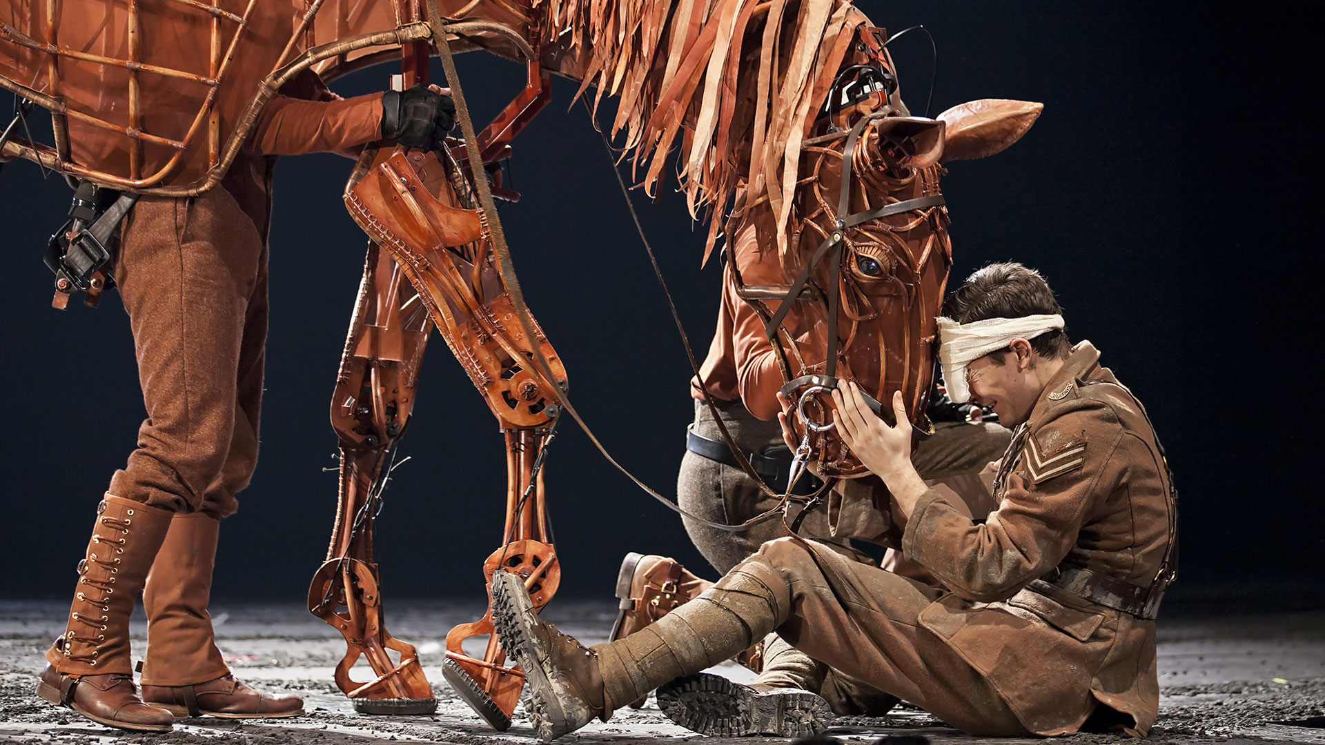 War Horse