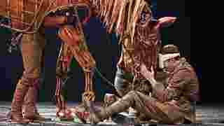 War Horse